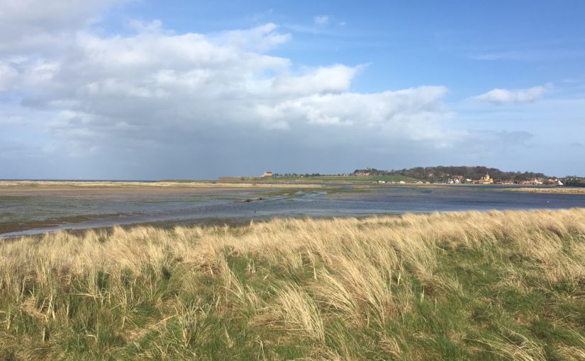 Never be alone in Dunbar